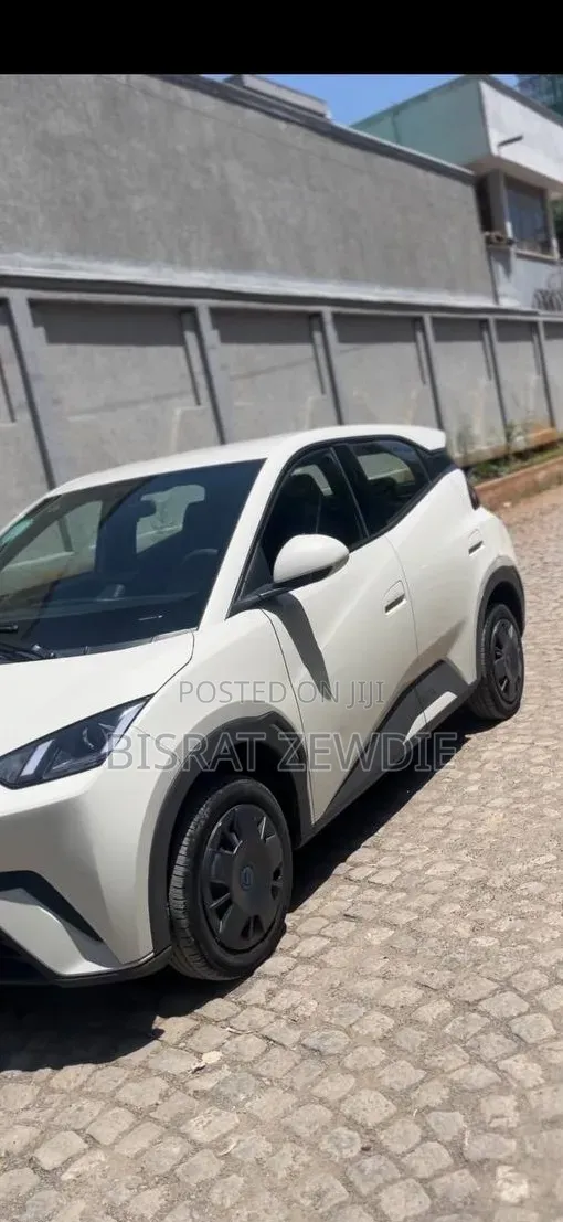 BYD Seagull 2024 White