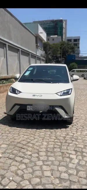 BYD Seagull 2024 White