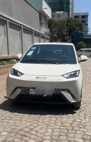 BYD Seagull 2024 White