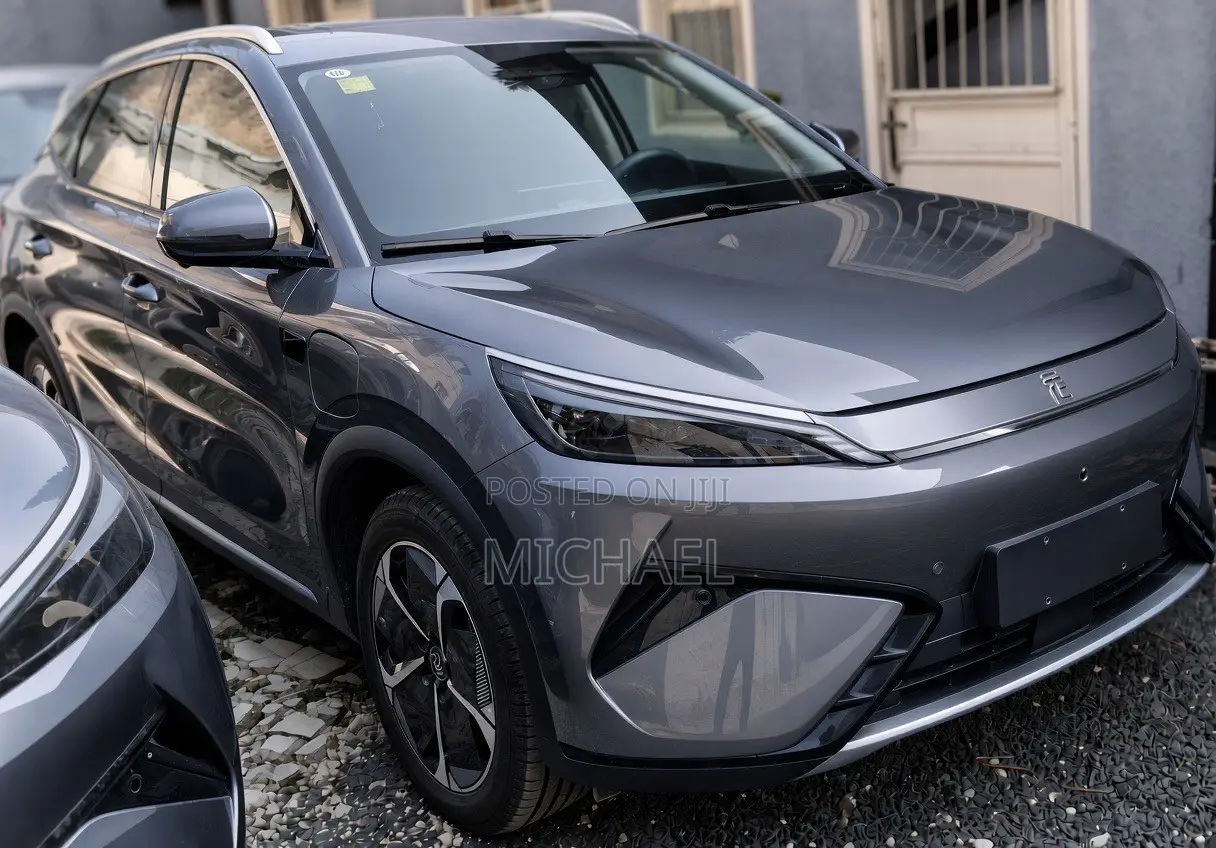 New BYD Yuan Plus 2025 Gray