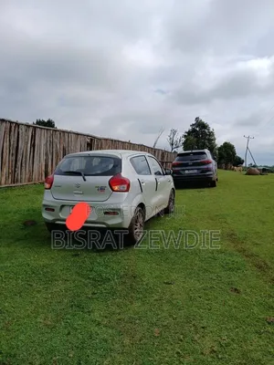 Suzuki Celerio 2022 White