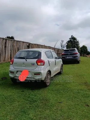 Suzuki Celerio 2022 White