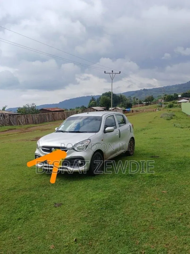 Suzuki Celerio 2022 White