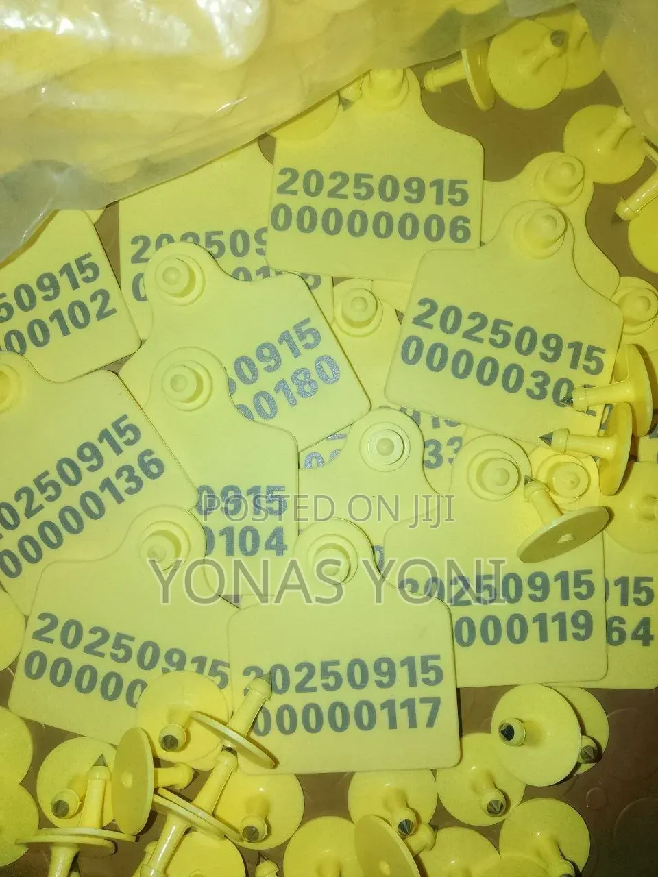 Ear Tag Small