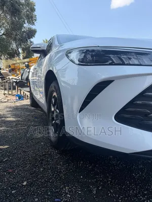 New BYD Qin Plus DM-i 2025 White