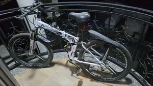 Mountain Bicycle