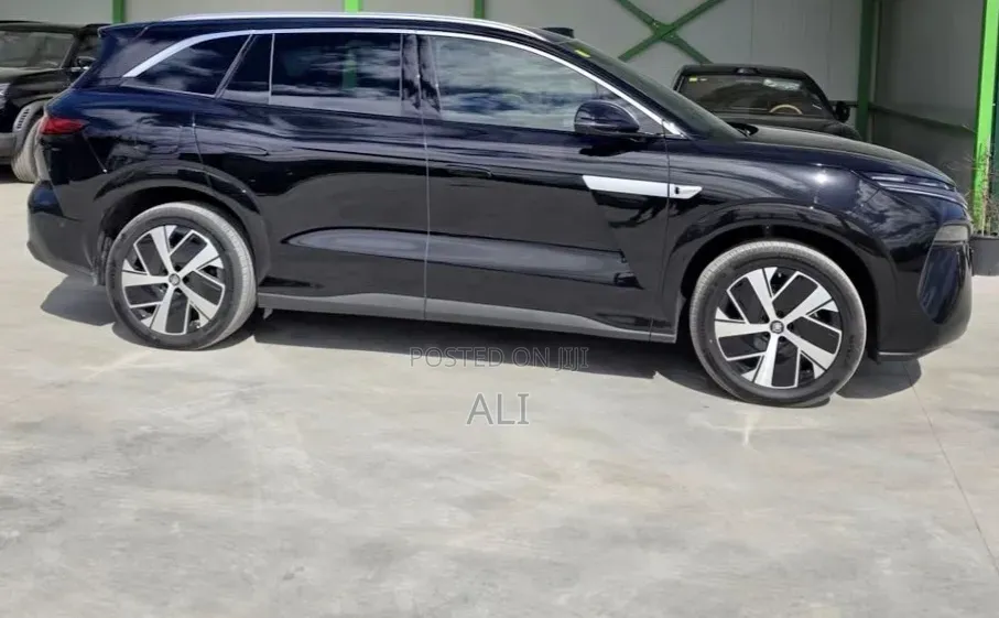 New BYD Tang EV 2025 Matt Black