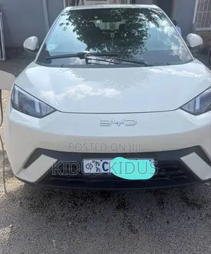 BYD Seagull 2024 White