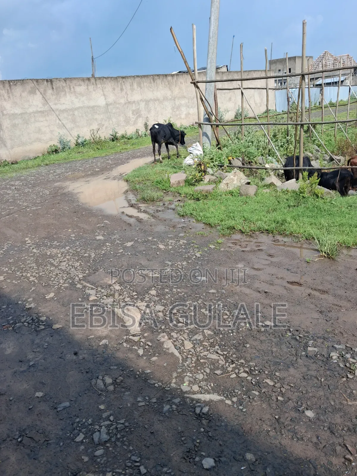 8bdrm Farm House in Yeka for sale