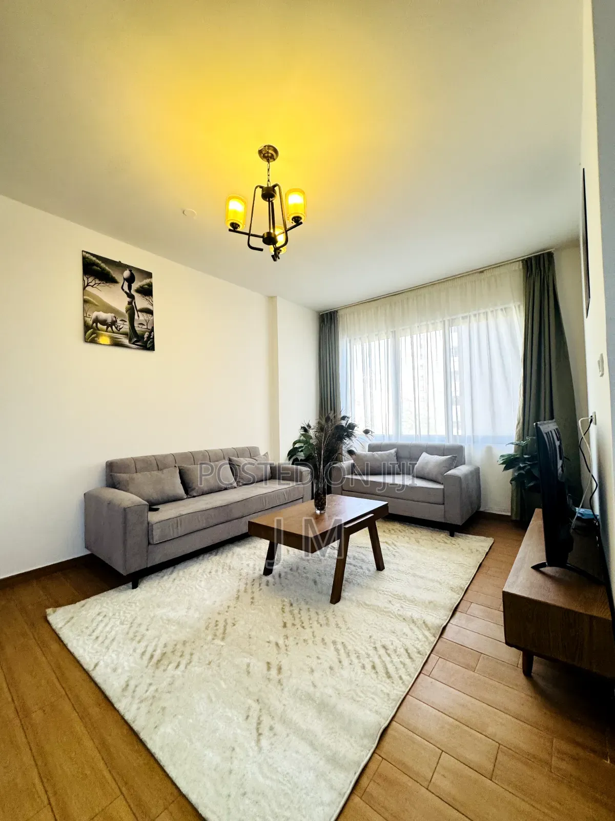 Furnished 1bdrm Apartment in Bole for rent