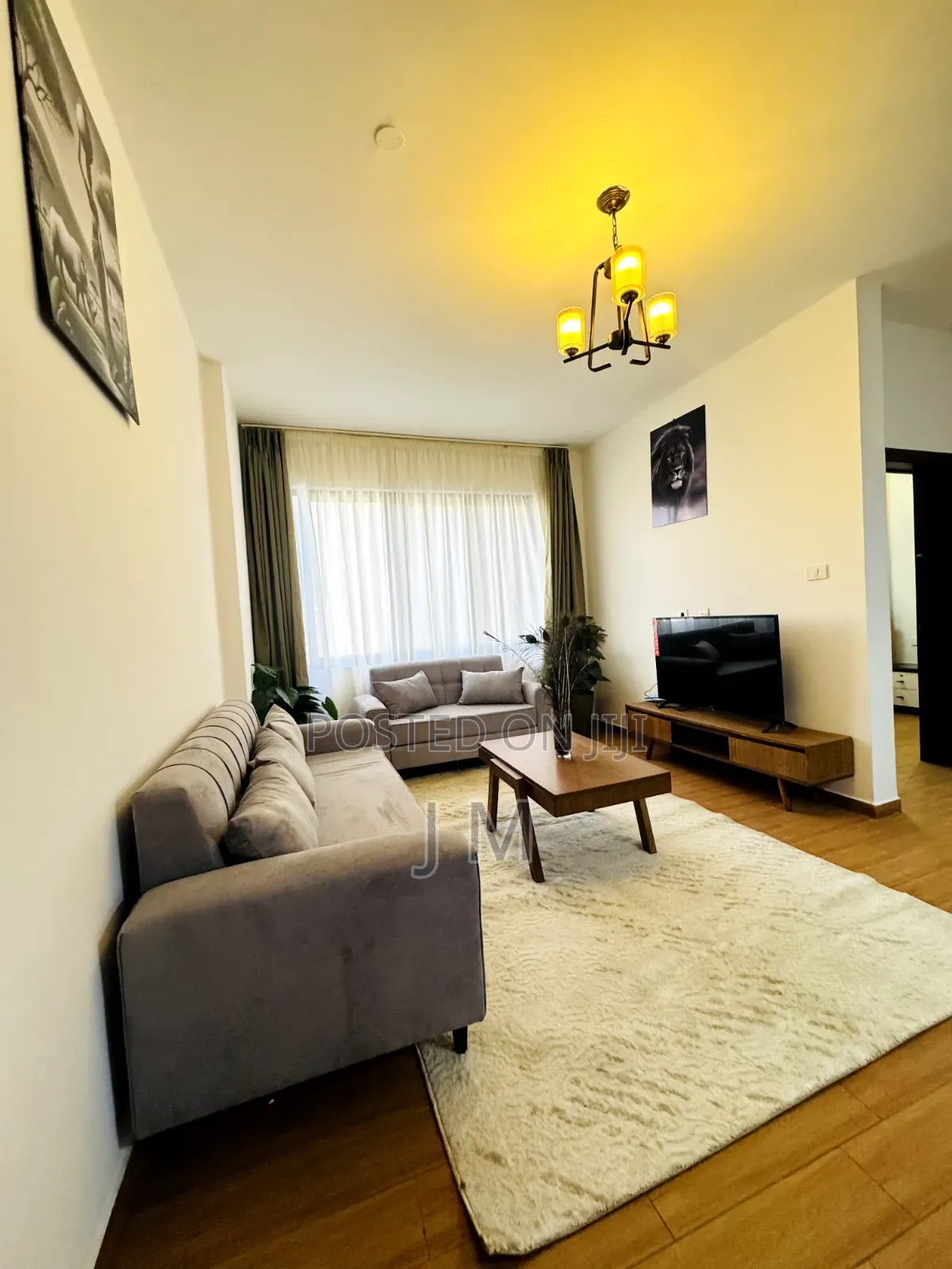 Furnished 1bdrm Apartment in Bole for rent