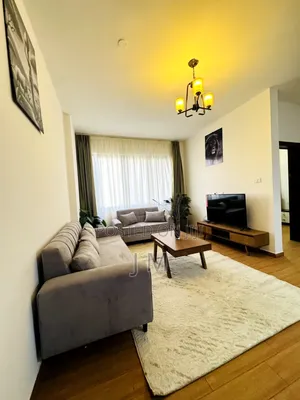 Furnished 1bdrm Apartment in Bole for rent