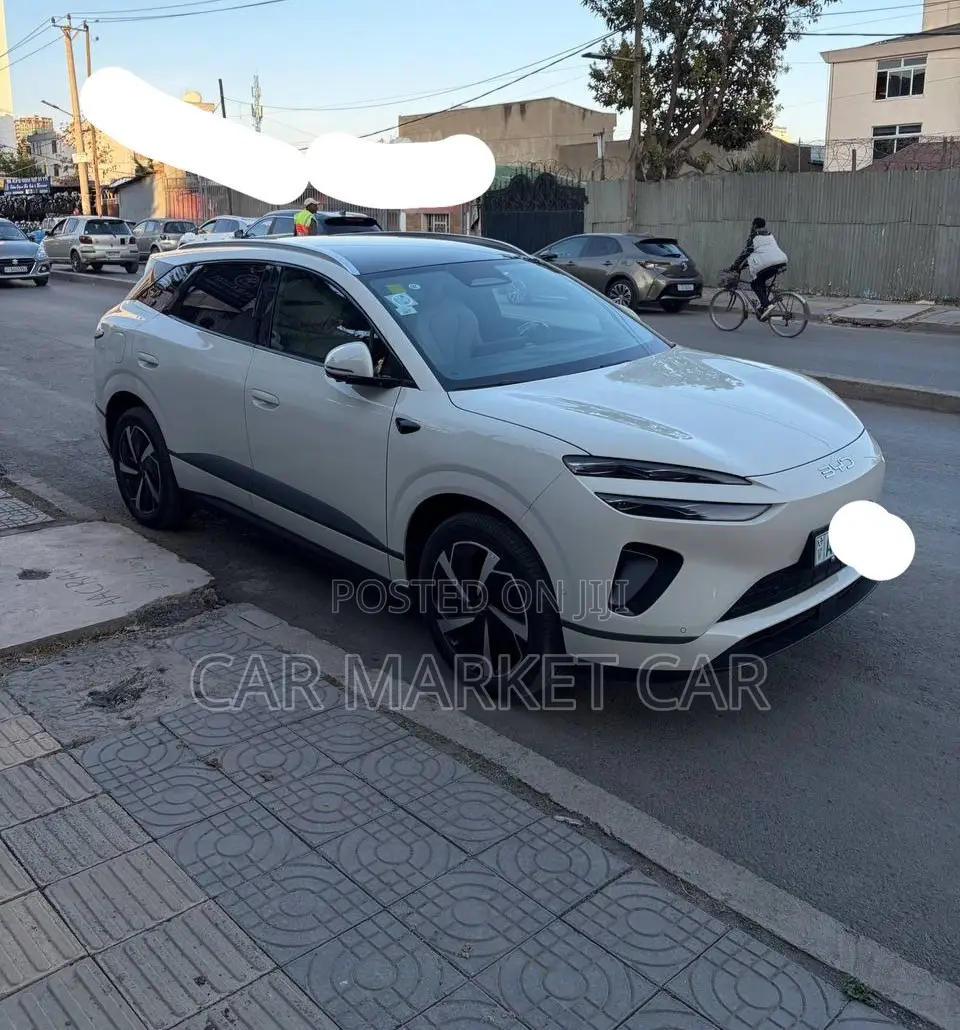 BYD Sealion 06 EV 2025 Gray