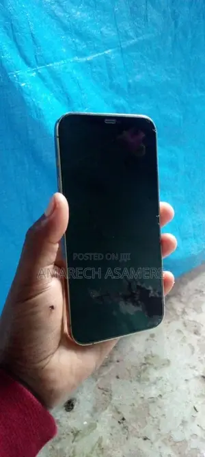 Apple iPhone 12 Pro Max 128 GB Silver