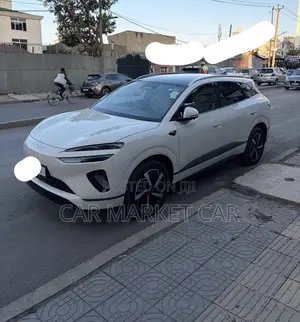 BYD Sealion 06 EV 2025 Gray