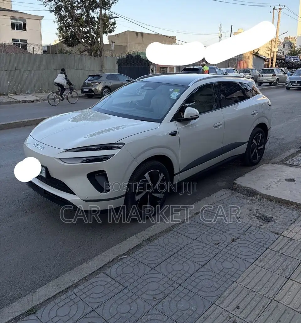 BYD Sealion 06 EV 2025 Gray