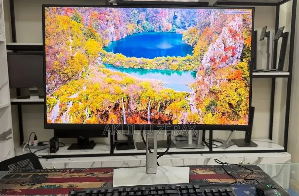 Dell Monitor