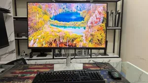 Dell Monitor