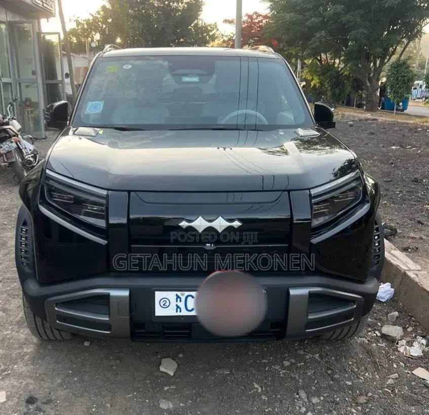 BYD Leopard 3 2026 Black