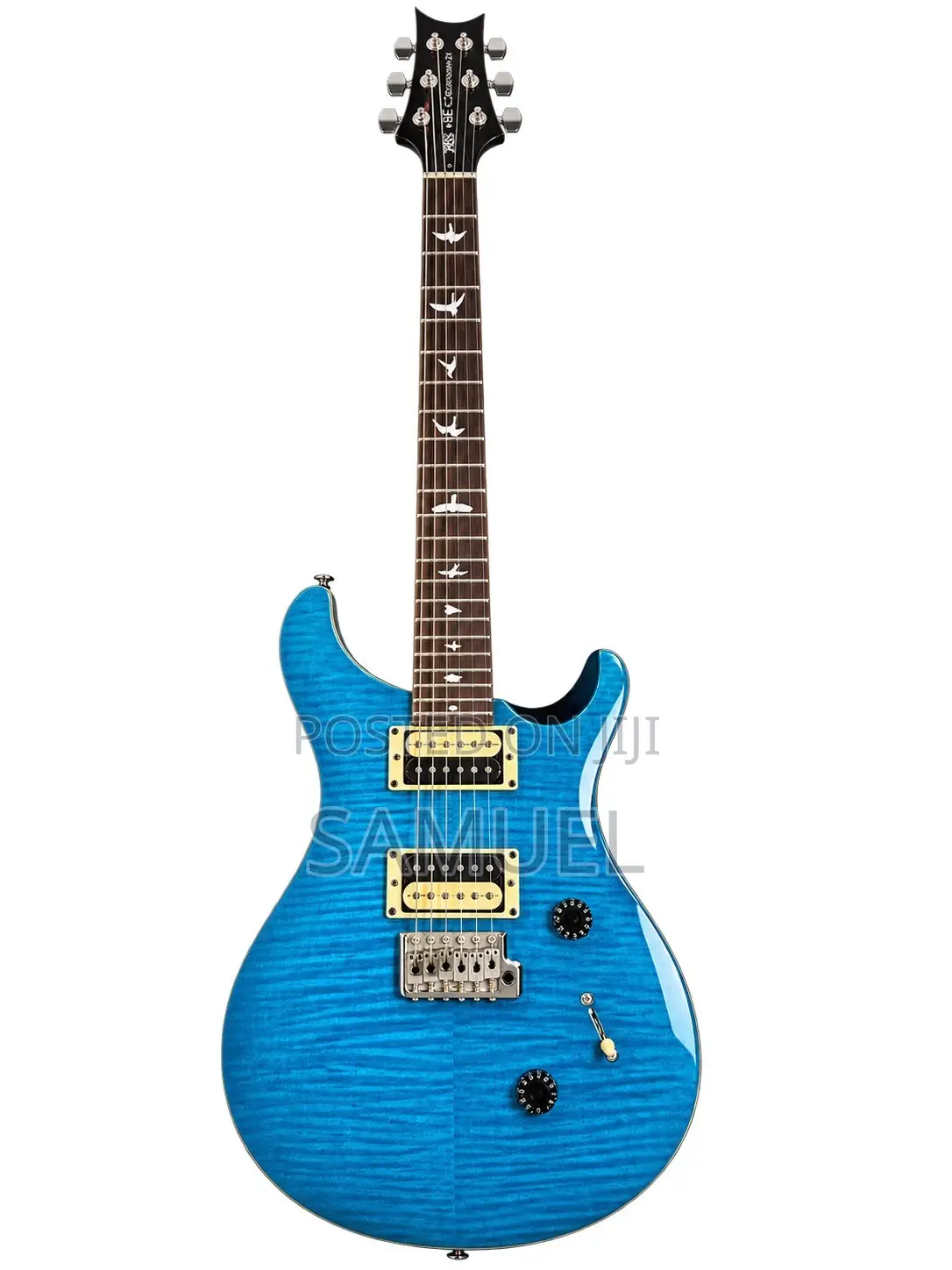 PRs Custom 24