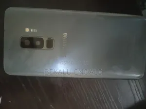 Samsung Galaxy S9 Plus 256 GB Silver