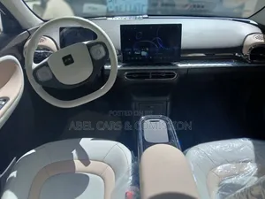 JAC E30X EV Car Rental 505km