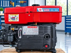 Quandong 28Hp Diesel Engine Zs1125p