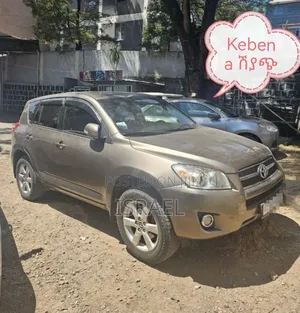 Toyota RAV4 2010 Gray