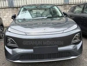 New Car 2025 Gray
