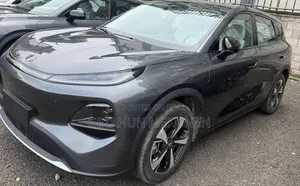 New Car 2025 Gray