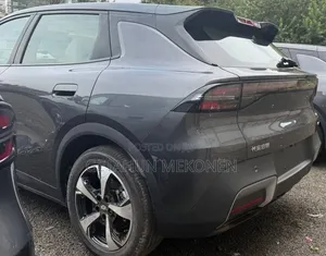 New Car 2025 Gray