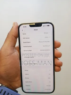 Apple iPhone 13 Pro Max 256 GB Silver