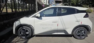 BYD Seagull 38 kWh FWD 2024 White