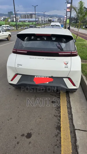 BYD Seagull 38 kWh FWD 2024 White