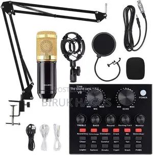 BM-800 Condenser Microphone With V8 Sound Card Kit