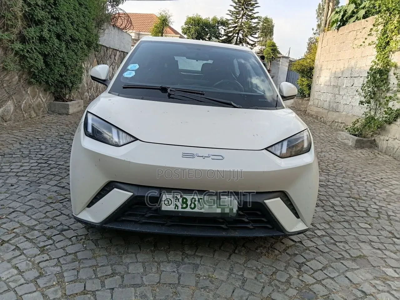 BYD Seagull 2025 White