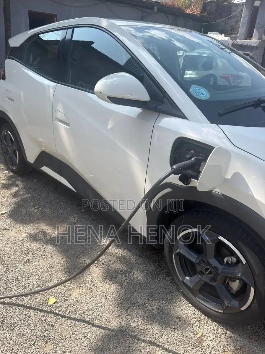BYD Seagull 2024 White