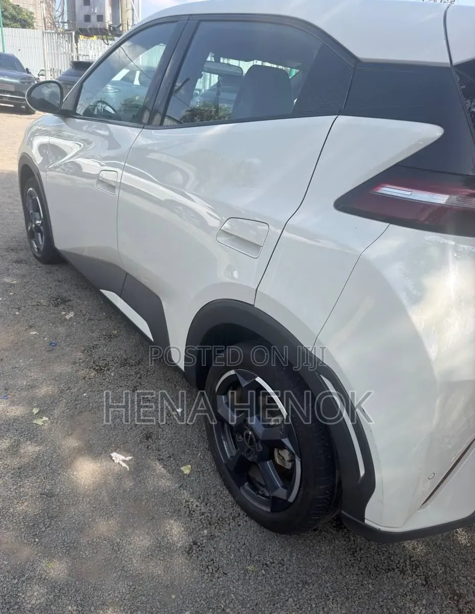 BYD Seagull 2024 White