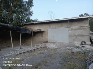 Warehouse for Rent (250 Sq. M.)