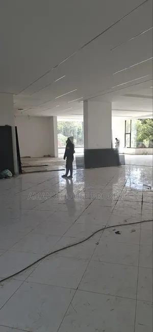 Highly Attractive Showroom and Office Space for Rent in Mexico, Addis