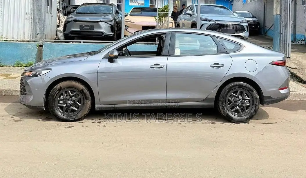 New BYD Qin Plus DM-i 2025 Gray