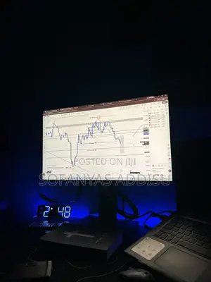 Dell 24" Frameless Monitor