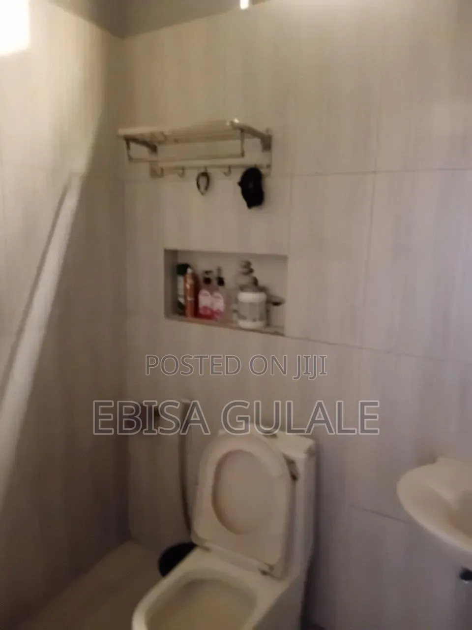 Furnished 4bdrm Farm House in Oromia-Finfinne for sale
