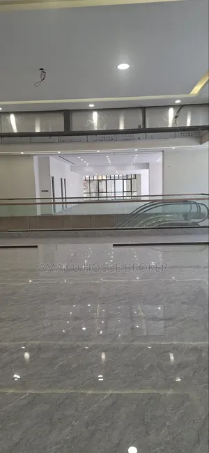 Urgent Luxury Office for Rent in Kasanchis, Addis Ababa - 1 500 SQM