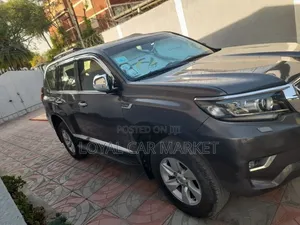 Toyota Land Cruiser Prado 2020 Gray