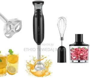 4-in-1 Hand Blender and Egg Beater የምግብ ማዘጋጃ መፍጫ