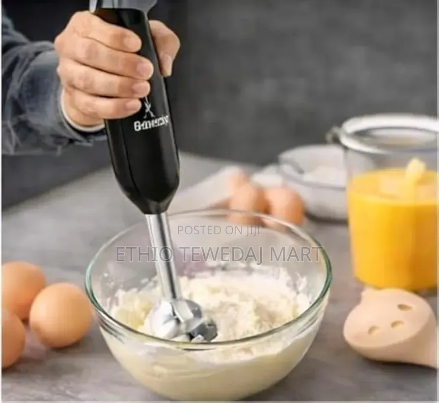 4-in-1 Hand Blender and Egg Beater የምግብ ማዘጋጃ መፍጫ