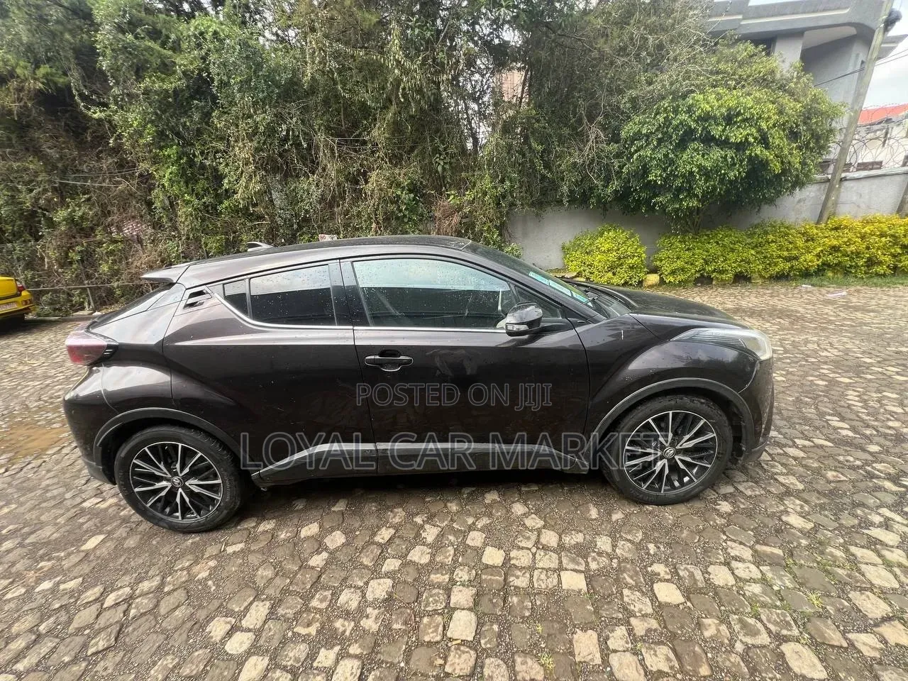 Toyota C-HR 2020 Gray