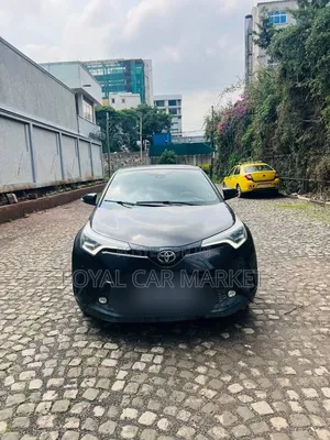 Toyota C-HR 2020 Gray