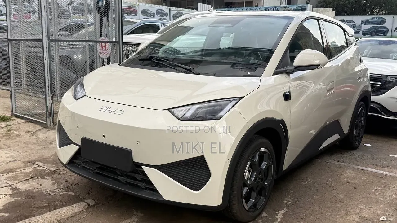 BYD Seagull 2025 White